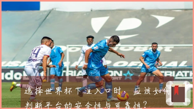 选择世界杯下注入口时，应该如何判断平台的安全性与可靠性？