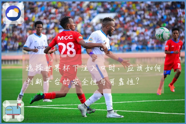 选择世界杯下注入口时，应该如何判断平台的安全性与可靠性？